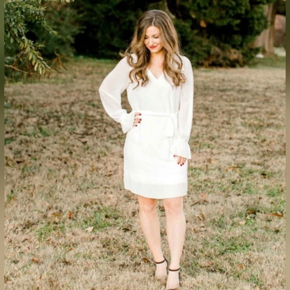 Naked Zebra Sheer Pleated Any Occasion Belted Midi Dress
